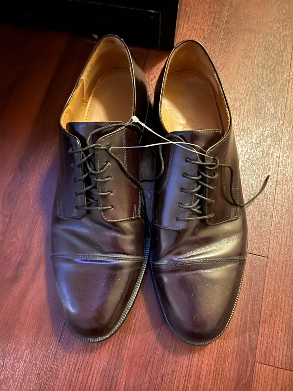 Men Colehaan Classic Cap-Toe Derby Lace-Up in Dark Brown Leather 12